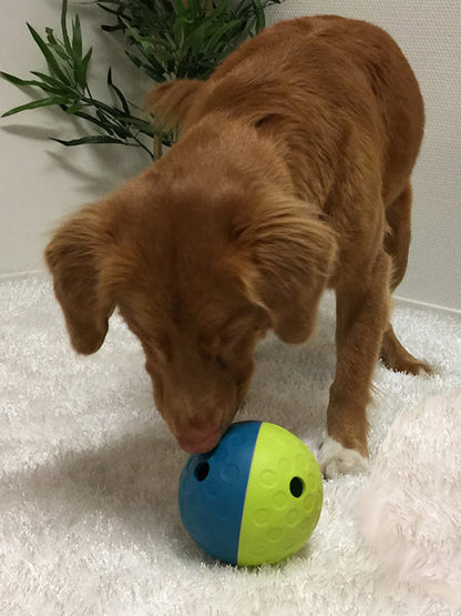 Jeu de réflexion pour chien