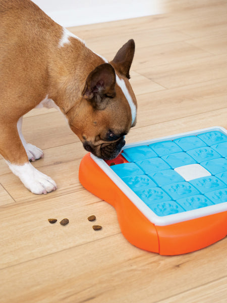 Jouet interactif / puzzle pour chien - Challenge Slider - Niveau 3