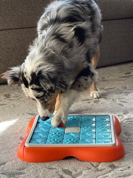 Jouet interactif / puzzle pour chien - Challenge Slider - Niveau 3