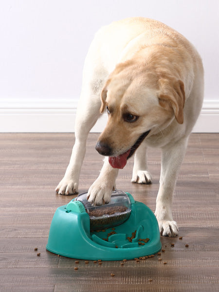 Jouet interactif distributeur de friandises pour chien