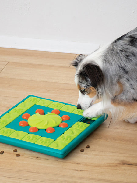 Jouet interactif / puzzle pour chien - MultiPuzzle - Niveau 4