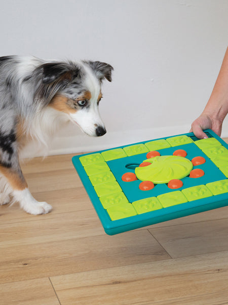 Jouet interactif / puzzle pour chien - MultiPuzzle - Niveau 4