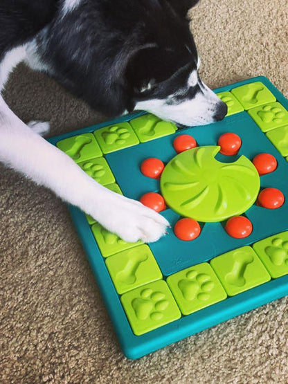 Jouet interactif / puzzle pour chien - MultiPuzzle - Niveau 4