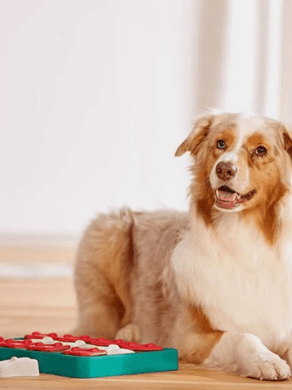 Jouet interactif / puzzle pour chien - Dog Brick - Niveau 2
