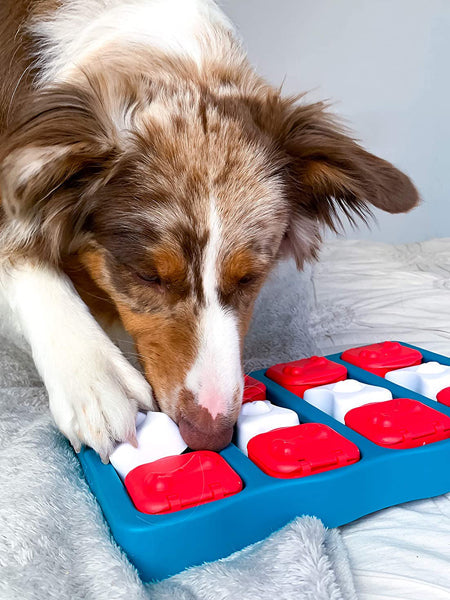 Jouet interactif / puzzle pour chien - Dog Brick - Niveau 2