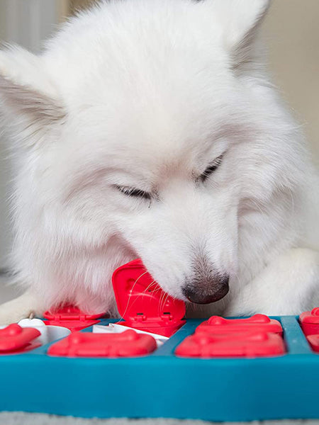 Jouet interactif / puzzle pour chien - Dog Brick - Niveau 2
