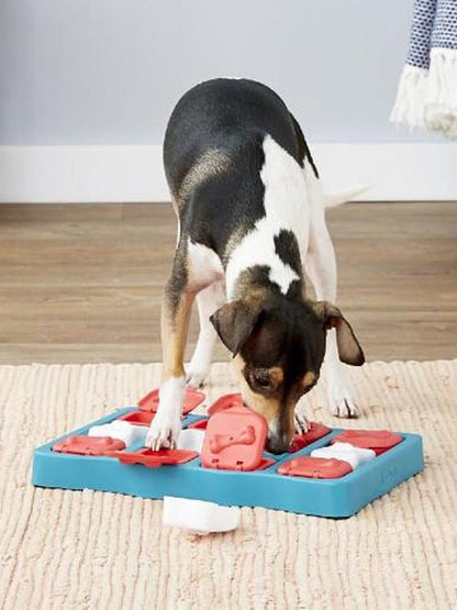 Jouet interactif / puzzle pour chien - Dog Brick - Niveau 2