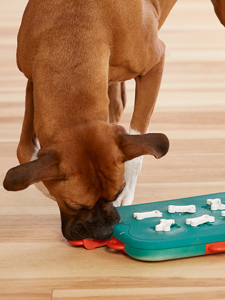 Jouet interactif / puzzle pour chien - Dog Casino - Niveau 3