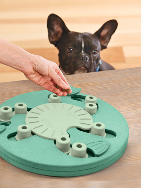 Jouet interactif / puzzle pour chien - Dog Worker - Niveau 3