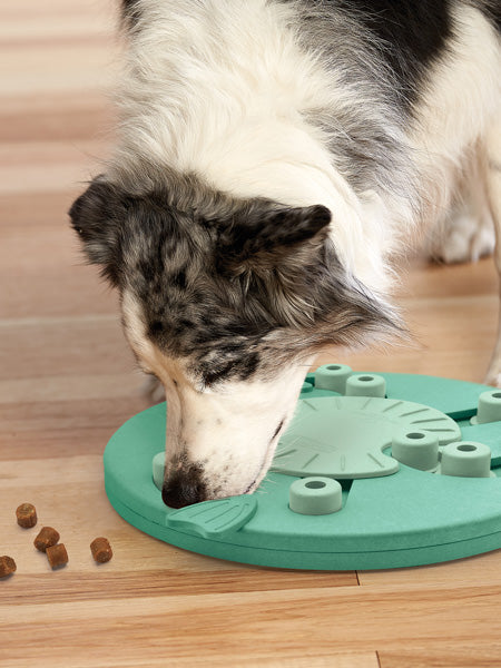 Jouet interactif / puzzle pour chien - Dog Worker - Niveau 3