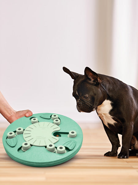 Jouet interactif / puzzle pour chien - Dog Worker - Niveau 3