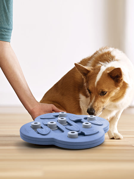 Jouet interactif / puzzle pour chien - Hide N Slide - Niveau 2