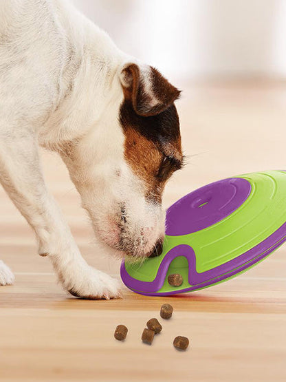 Jeu de réflexion pour chien