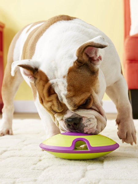 Jouet interactif / puzzle pour chien - Treat Maze - Niveau 2