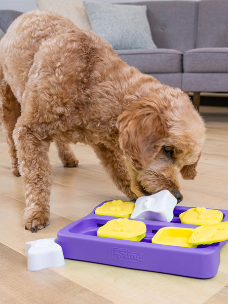 Jouet interactif / puzzle pour chien - Dog Brick Small Edition - Niveau 2