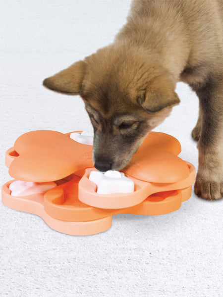 Jeu de réflexion pour chiot