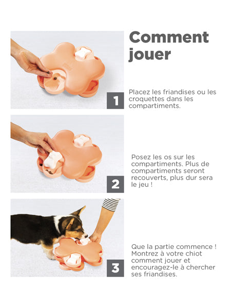 Jeu de réflexion pour chiot