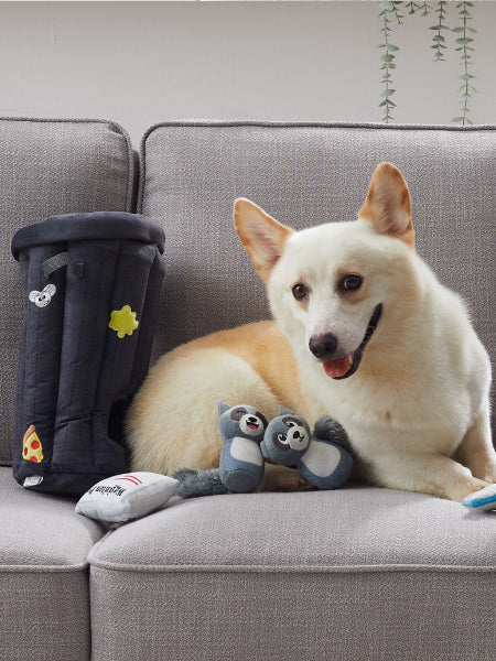 Grand jouet d'occupation pour chien - Hide-a-Raccoon