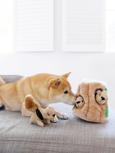 Jouet d'occupation pour chien original - Hide-a-squirrel - Outward Hound