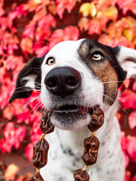 Saucisses de Cerf et Cassis pour Chien - Boost énergétique