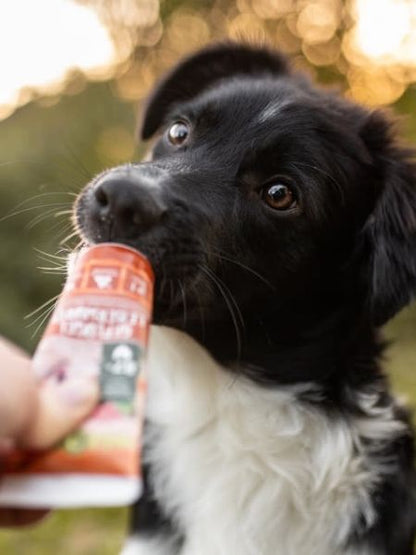 Pâté en tube pour chien avec 87% de viande de Volaille