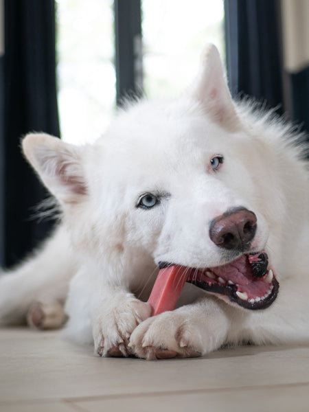 Bâtons de Fromage de Yak à mâcher à la fraise pour chien