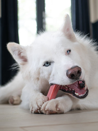 Bâtons de Fromage de Yak à mâcher à la fraise pour chien