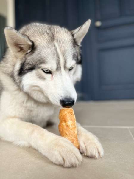 Barres de Fromage de Yak soufflé pour chien