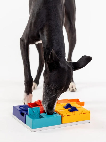 Jouet d’occupation pour chien