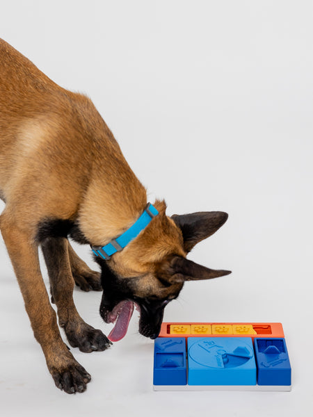 Jouet d’occupation pour chien