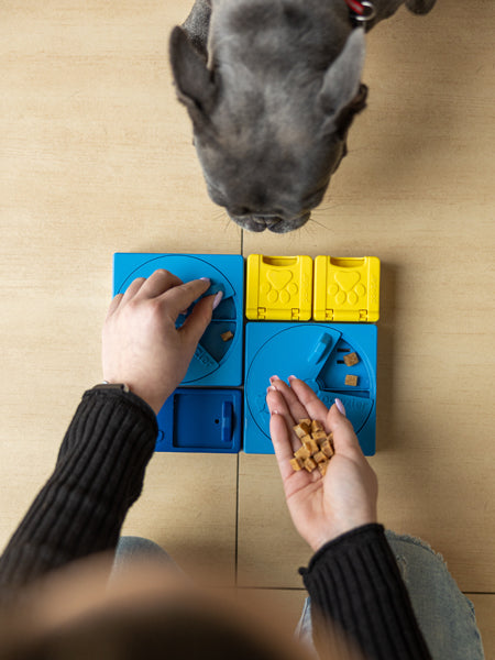 Jouet d’occupation pour chien – Kit Intermédiaire Rainbow (8 modules) - Pawzler