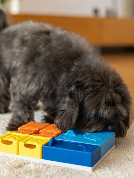 Jouet d’occupation pour chien – Kit Intermédiaire Rainbow (8 modules) - Pawzler