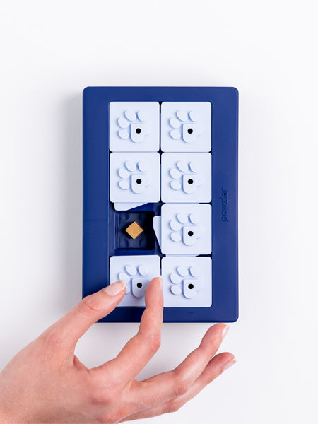 Modules pour jouet d’intelligence pour chien