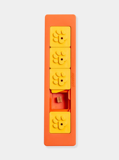 Modules pour jouet d’intelligence pour chien
