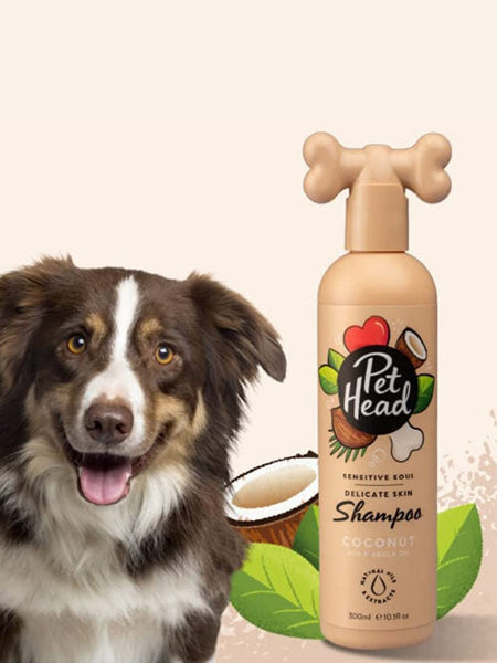 Shampoing pour chien à la peau sensible - Noix de Coco 🥥