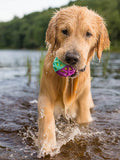 Balle pour chien go-go astro ball - nebula - Jouet 2 en 1 : couche flottante + balle couineuse, Balle de tennis intégrée qui couine