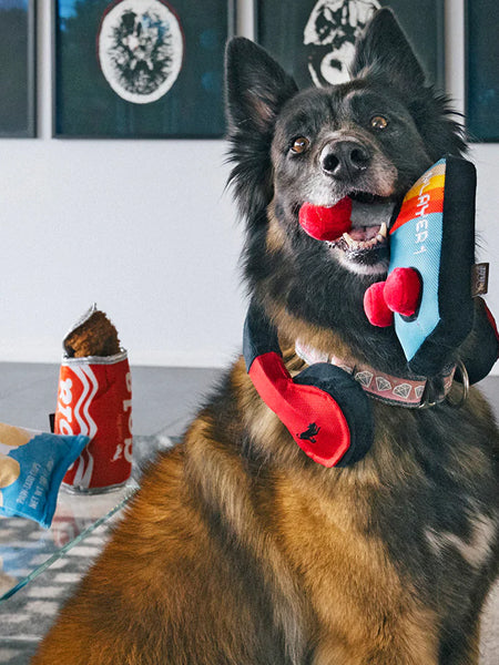 Jouet rétro pour chien - 80's Classic - Joystick 🕹️ - Pet PLAY