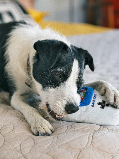 Jouet rétro pour chien - 90's Classic - Game Bone 🎮 - Pet PLAY