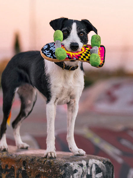 Jouet rétro pour chien