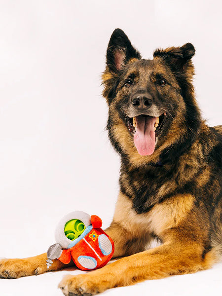 Peluche 2-en-1 pour chien