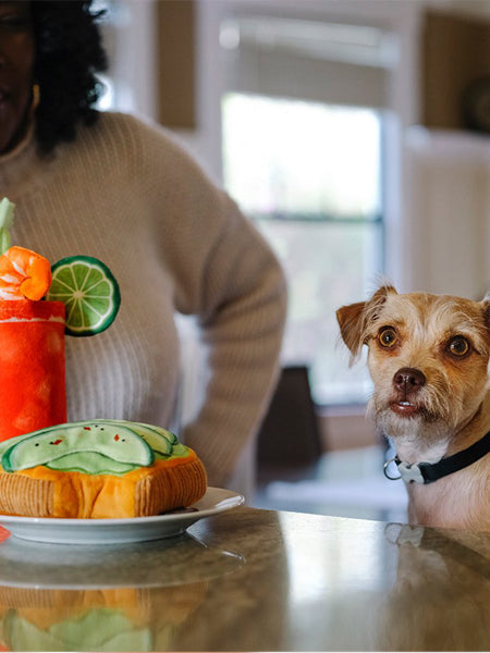 Jouet en peluche pour chien - Barking Brunch - Avocado Toast 🥑 - Pet PLAY