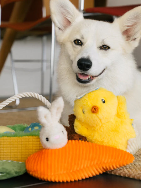 Peluche pour chien - Hippity Hoppity - Funny Bunnies 🥕
