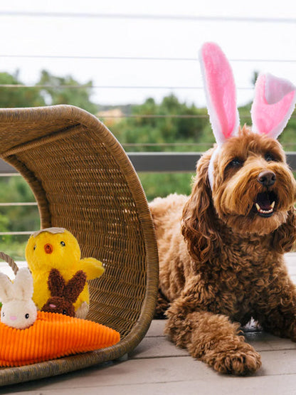 Peluche pour chien