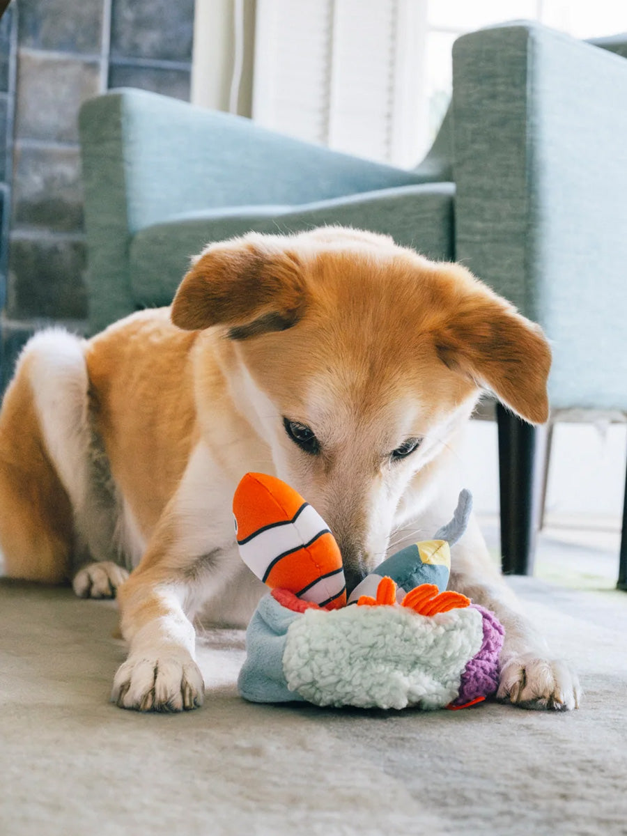 Peluche pour chien - Ocean Buddies Corail 🪸 - Pet PLAY