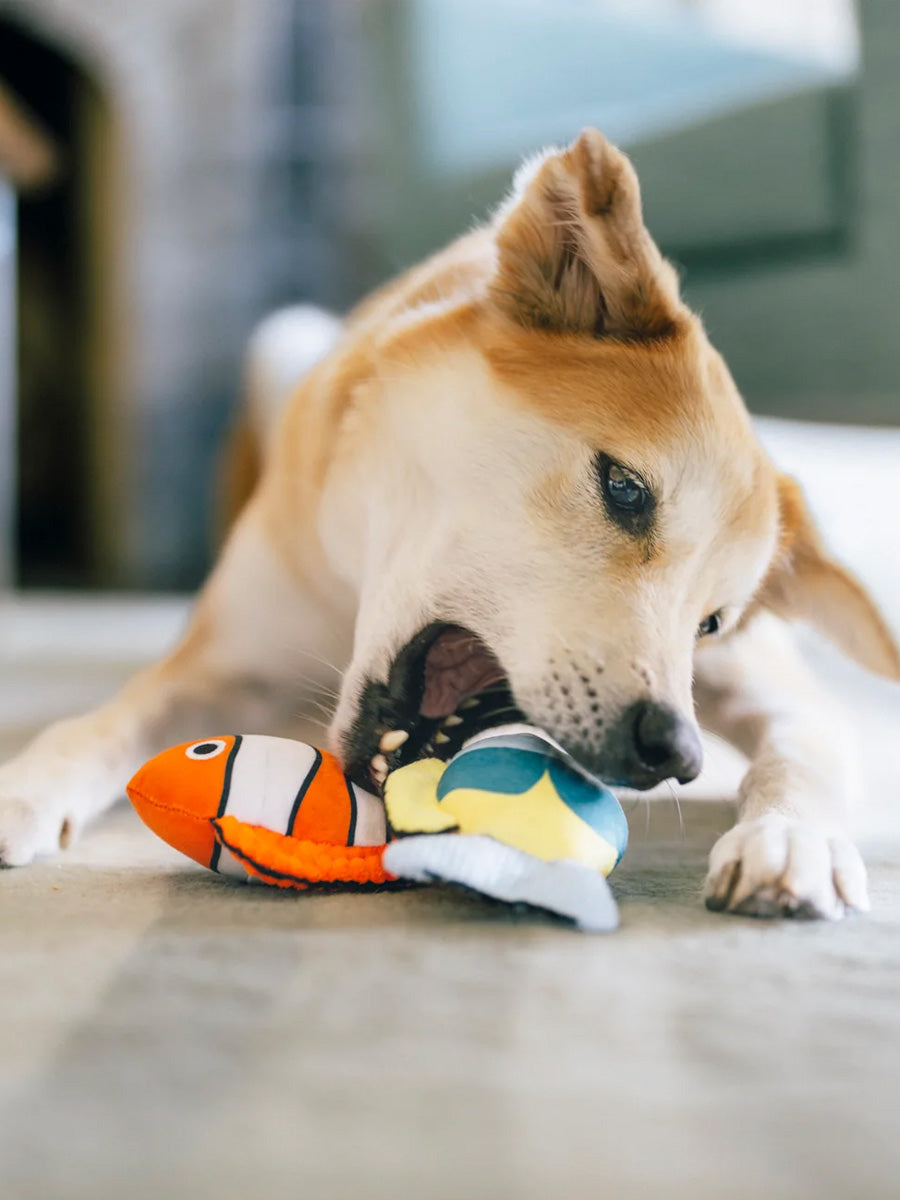 Peluche pour chien - Ocean Buddies Corail 🪸 - Pet PLAY