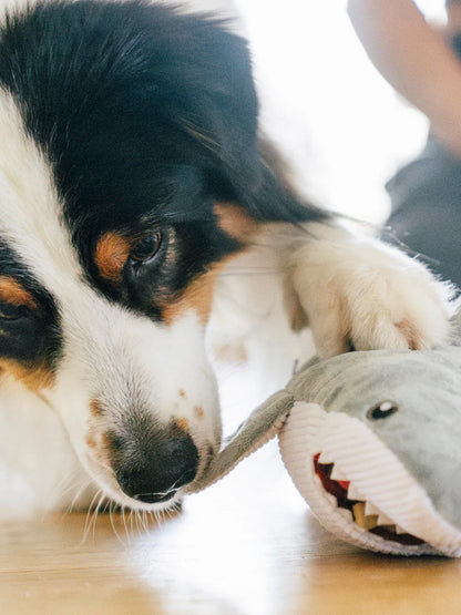 Peluche pour chien - Ocean Buddies Requin Blanc 🦈 - Pet PLAY