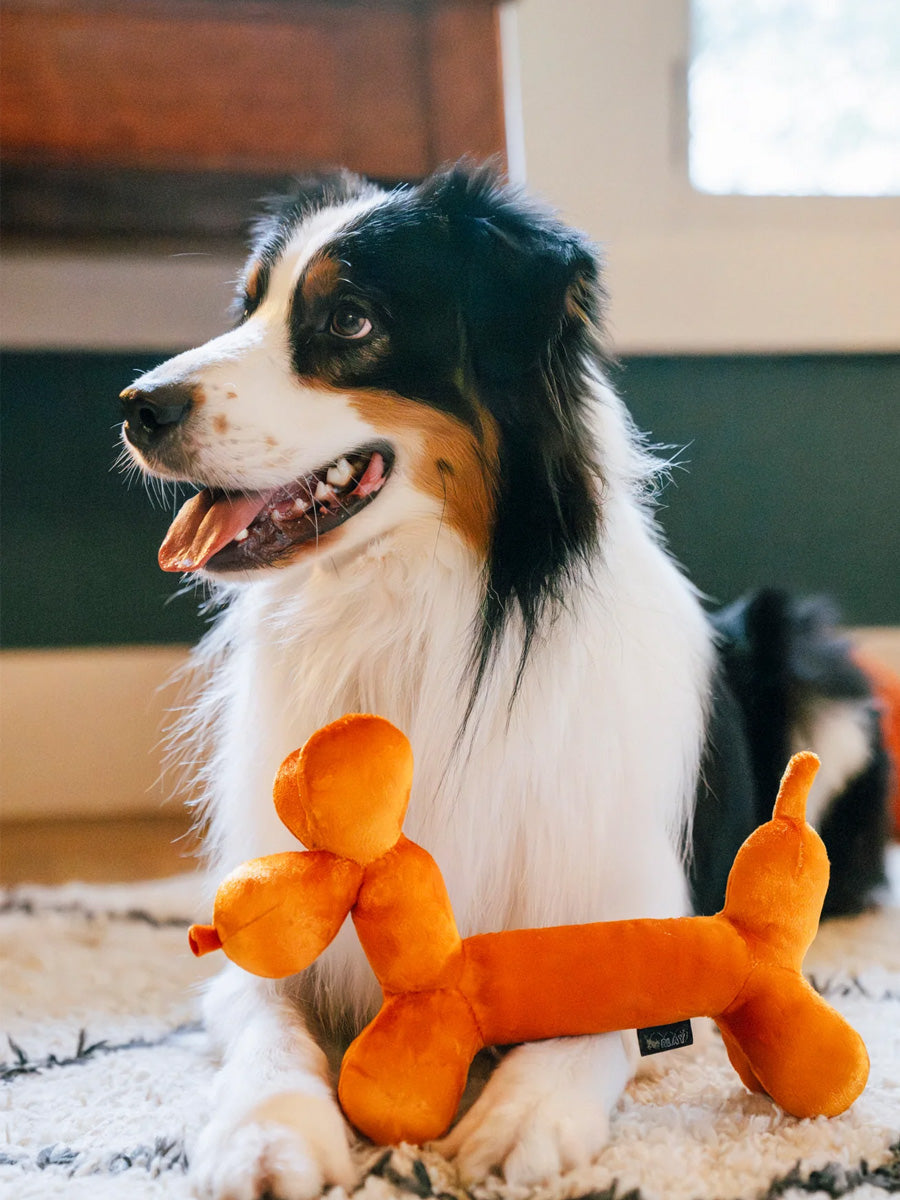 Peluche pour chien - Party Animals 🥳 Ballon chien - Pet PLAY