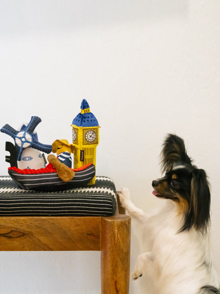Jouet en peluche pour chien