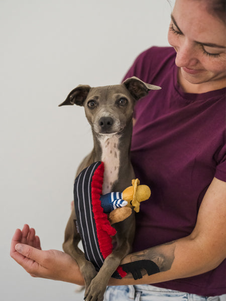 Jouet en peluche pour chien - Gondole de Venise 🛶 - Pet PLAY