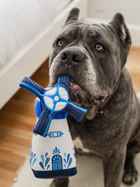 Jouet en peluche pour chien